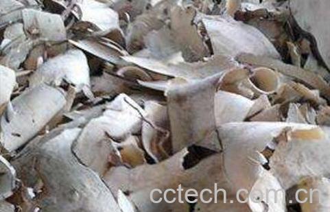 岗梅根的功效与作用及药用价值-1