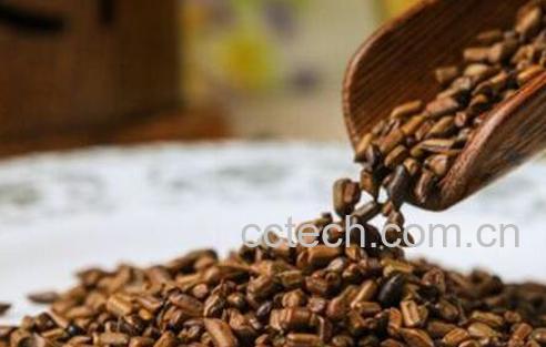 决明子泡水喝的功效与作用-1