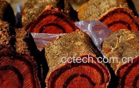 中药鸡血藤的功效与作用-0