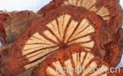 血藤泡酒的功效与作用-0