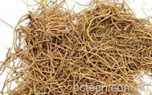 细辛浸酒有什么功效-0