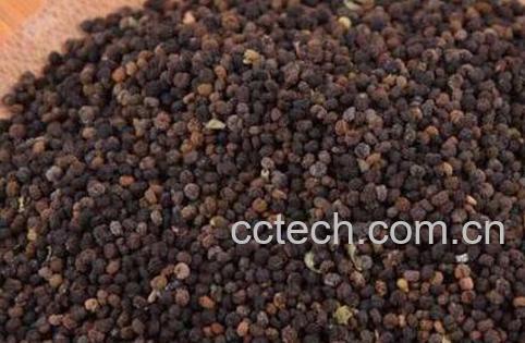 白花菜子的功效与作用-0