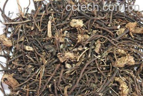 威灵仙的功效与作用 威灵仙的副作用-1