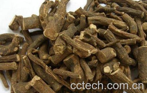 赤芍的功效与作用 赤芍的副作用-0