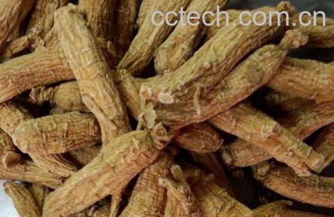 赤芍的功效与作用 赤芍的副作用-1