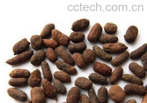 五灵脂的功效与作用 五灵脂的药用价值-0