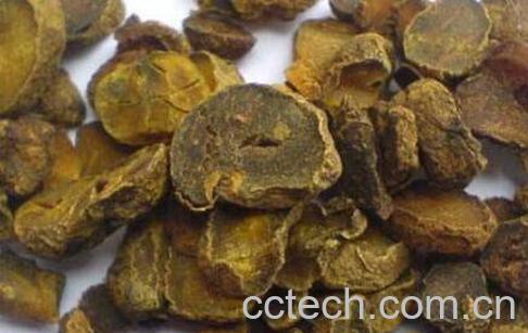 延胡索的功效与作用 延胡索的药用价值-0