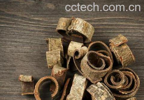 姜厚朴的功效与作用-1