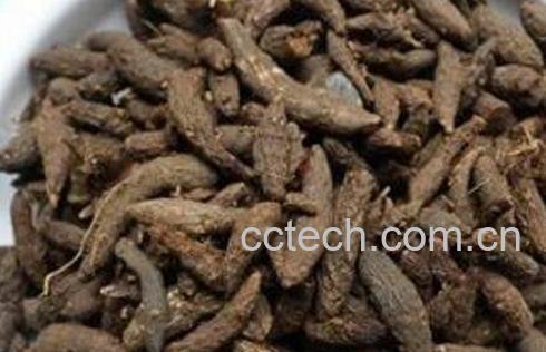 醋香附的作用与功效-1