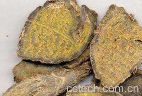 莪术的功效与作用 莪术的副作用-1