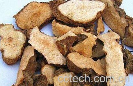 土茯苓的功效与作用 土茯苓的使用禁忌-0