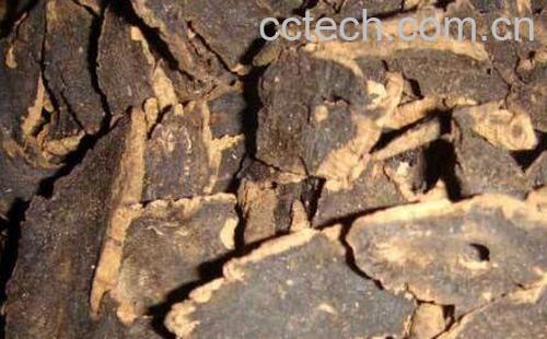 须元参的功效与作用-0