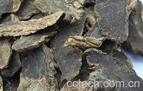 须元参的功效与作用-1