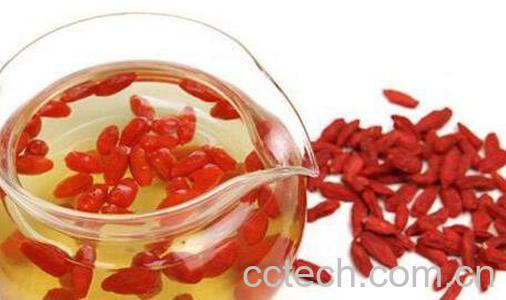 枸杞子泡水喝的坏处-1