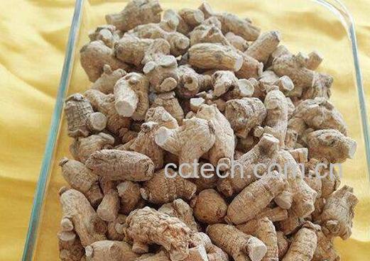 生晒参和西洋参的区别-1