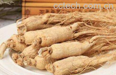 生晒参和红参的区别-0