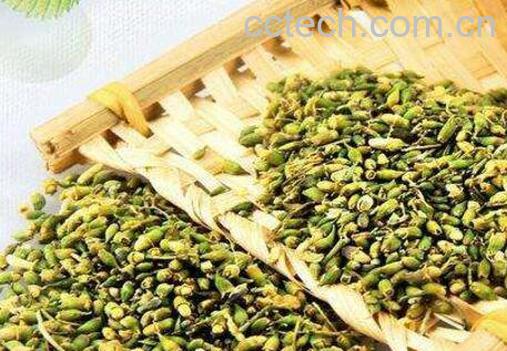 生槐米和熟槐米的区别 槐米的主要功效-0