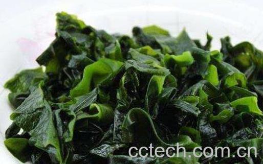  吃螺旋藻的副作用及禁忌-0