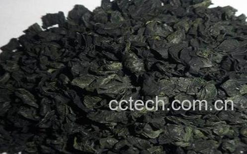  吃螺旋藻的副作用及禁忌-1