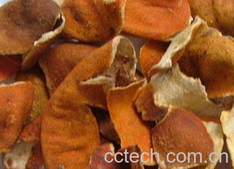 陈皮的功效与作用 陈皮的食用禁忌-0