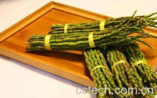 铁皮石斛的功效与作用 铁皮石斛的副作用-0