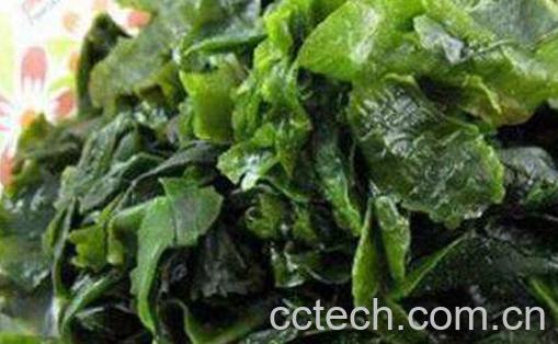 螺旋藻的功效与作用 螺旋藻片哪个牌子好-0