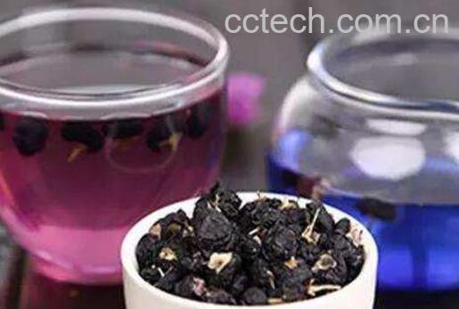 野生黑枸杞有什么功效 黑枸杞泡水喝的禁忌-0