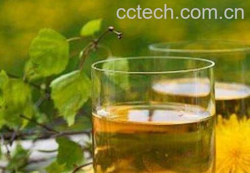 蒲公英的功效与作用 蒲公英怎么泡水喝-0