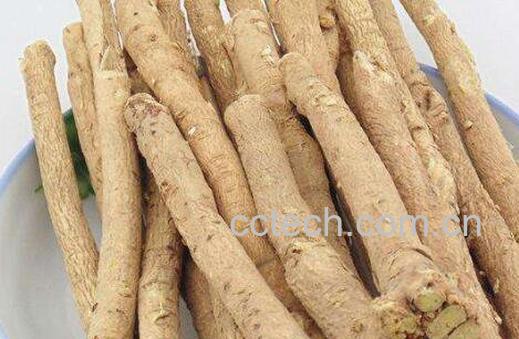 黄芪的功效与作用有哪些-0