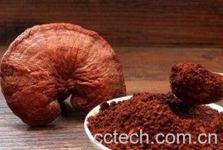 灵芝粉怎么吃冲水喝 什么人不适合吃灵芝粉-1