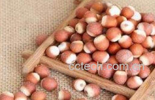 芡实的作用与功效 芡实的吃法-0