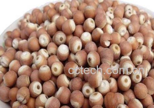 芡实的作用与功效 芡实的吃法-1