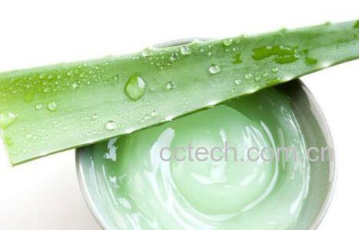 芦荟胶的功效与作用 芦荟胶怎么用-1