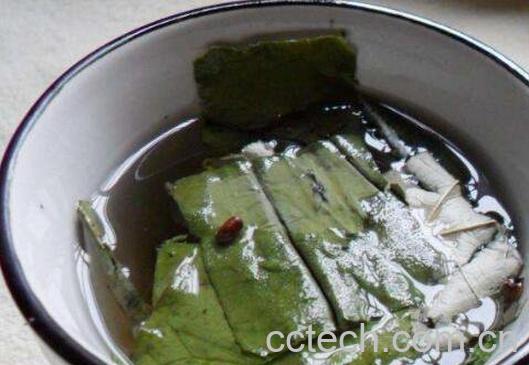 荷叶加什么减肥 荷叶减肥的具体方法-1