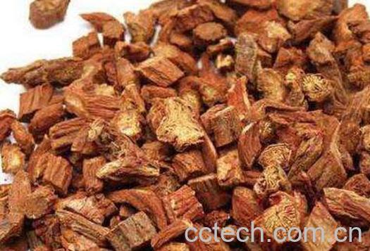 丹参的功效与作用及药用价值-0