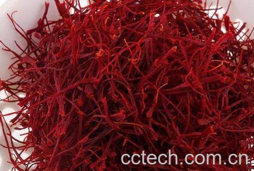 藏红花的功效与作用 吃藏红花的禁忌-0
