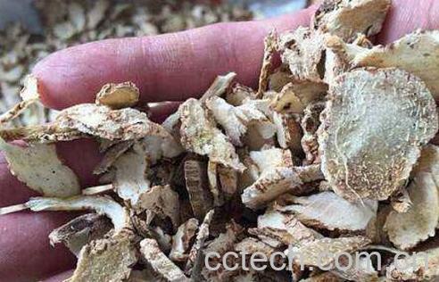 白芨的功效与作用及药用价值-1