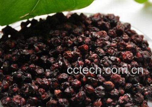 五味子的功效与作用与药用价值-1