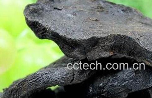 何首乌的功效与作用有哪些-0