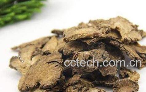 川芎的功效与作用及禁忌-0