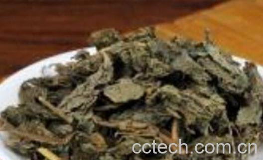 紫苏泡澡的功效与作用 紫苏怎么泡澡-1