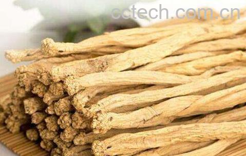 党参的功效与作用及药用价值-0