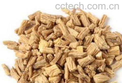 党参的功效与作用及药用价值-1