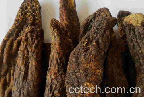 女人吃肉苁蓉的好处-1