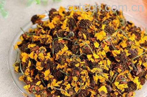 昆仑雪菊的功效与作用-1