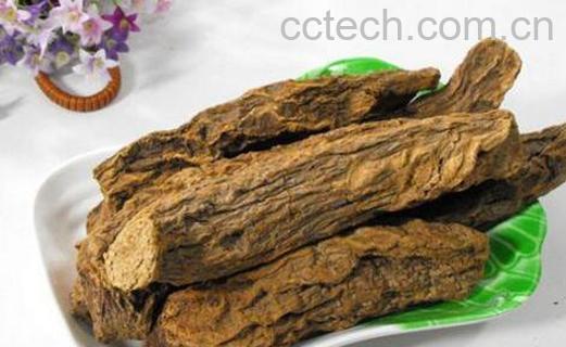 肉苁蓉怎么吃补肾 肉苁蓉的吃法-0