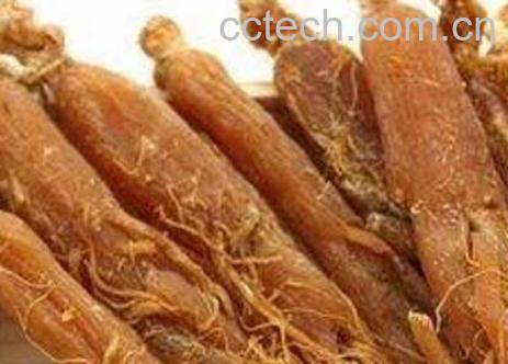 红参怎么吃 红参怎么吃效果最好-0