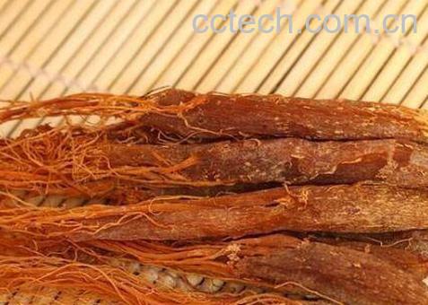 红参图片 红参泡水喝有什么好处-1