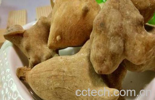 五倍子的功效与作用及药用价值-1