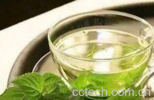藿香叶泡水的功效-0
